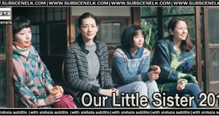 Our Little Sister (2015) Japanese movie review. Hirokazu Kore-eda directs this gentle, heartwarming tale of sisterhood and family. 🌸