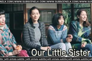 Our Little Sister (2015) Japanese movie review. Hirokazu Kore-eda directs this gentle, heartwarming tale of sisterhood and family. 🌸