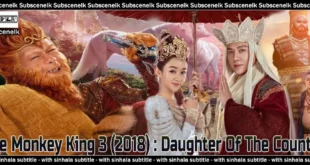 The Monkey King 3 (2018) Chinese movie review. Aaron Kwok and Zhao Liying star in this romantic fantasy adventure. A visual spectacle with a weak story. 🐵