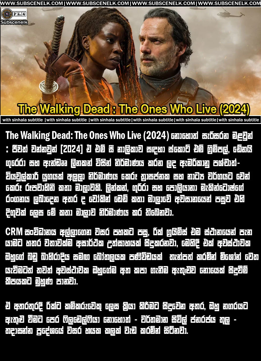 The Walking Dead: The Ones Who Live review: Rick and Michonne reunite in this epic AMC spin-off. Andrew Lincoln and Danai Gurira star. 🧟🌍