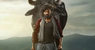 Maremma (2026) English Subtitle and Review: Maadhav Bhupathiraju and Deepa Balu star in this disappointing Telugu rural action drama about a missing sacred bison. Streaming on Prime Video. 🎬🇮🇳